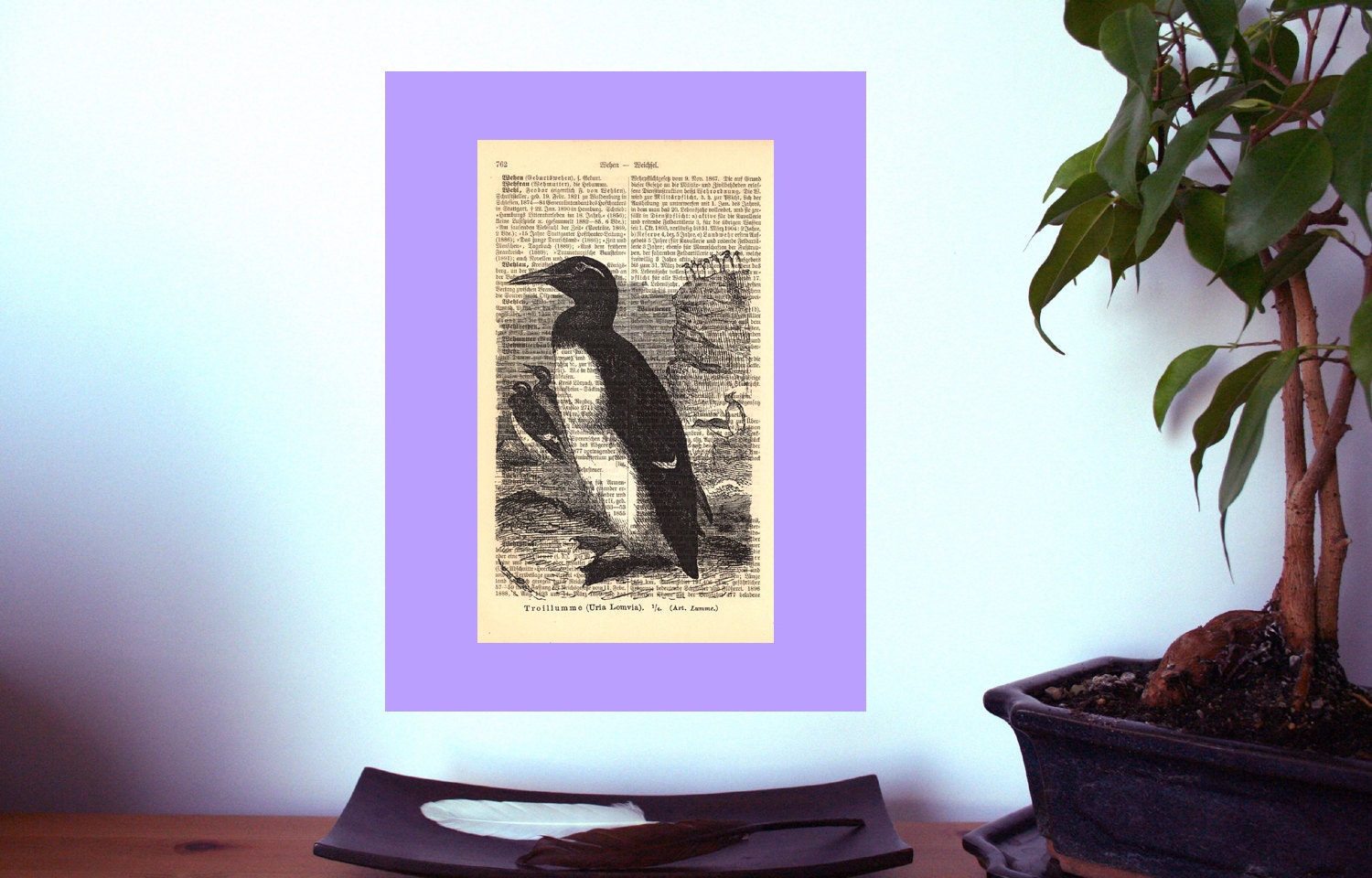 Guillemot Bird Large Vintage Art Print on Antique 1896 Dictionary Book Page