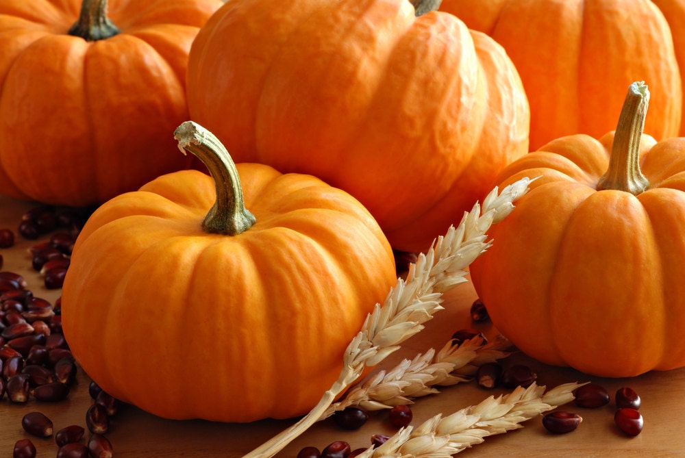 Pumpkin Harvest Fragrance Oil 1 oz. Concentrated oil great for candles or soapmaking