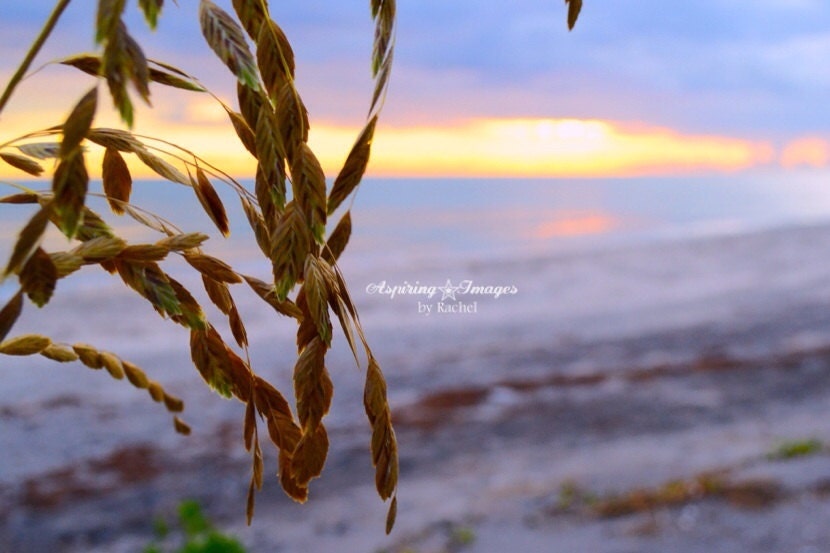 Beach Photography Ocean Wall Art Light Purple Water Blue Soft Pink Sand Beige Seashore Photo Sunset Home Decor Horizon Print 8x12 Sea Oats
