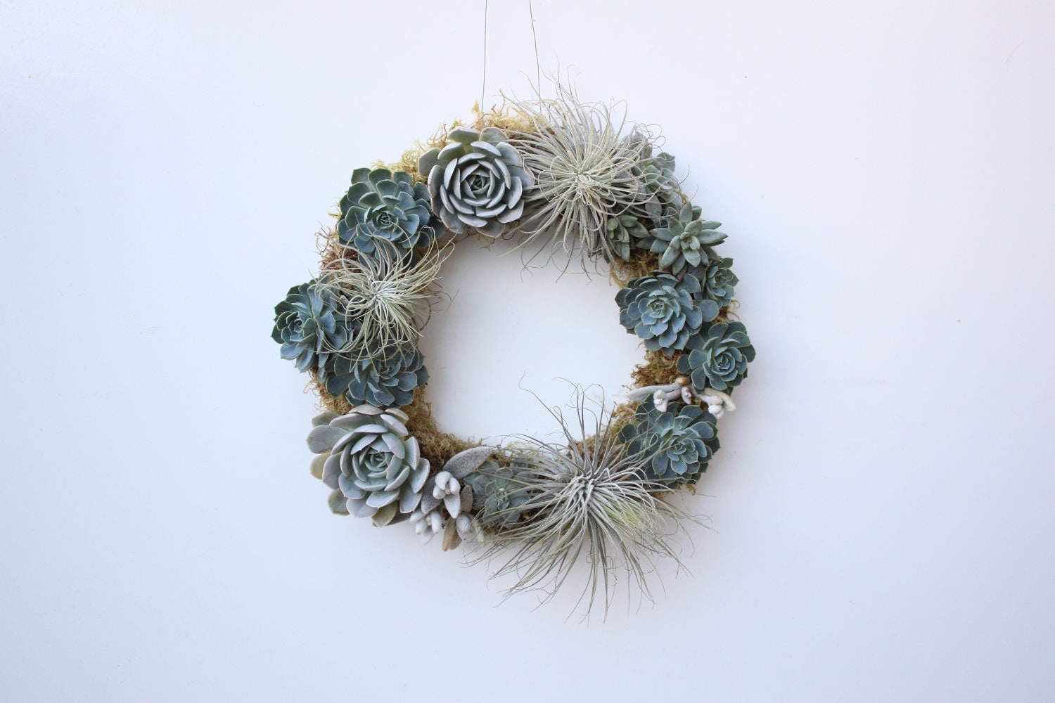 Icy Succulent and Tillandsia Wreath