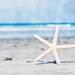 Beach Photography- Blue Beach Decor, White, Summer Photograph, Starfish Decor, Ocean, Water, Bokeh, Nautical Summer