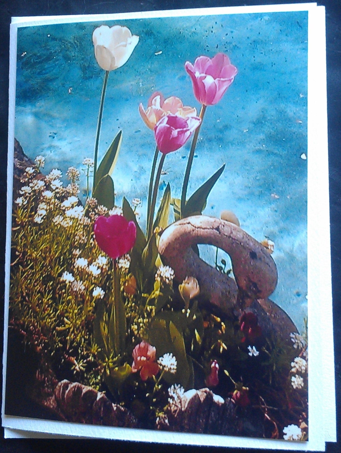 Beautiful tulips with swan in front on pond note card