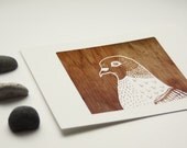 Daily Drawing No. 4 Pigeon on Wood 5x7 illustrated art print, woodgrain, bird illustration, white pigeon, square art, nature