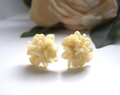 Ivory Jacqueline Stud Earrings