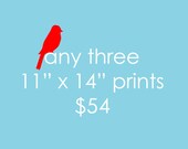 Any three 11"x14" prints in the shop