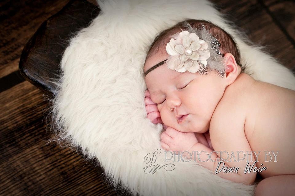 Newborn headband, baby headband, adult headband, photo prop The single sprinkled- Gwendolyn flower- stretch headband