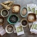 Twenty Packets of Heirloom Seeds - Free Shipping