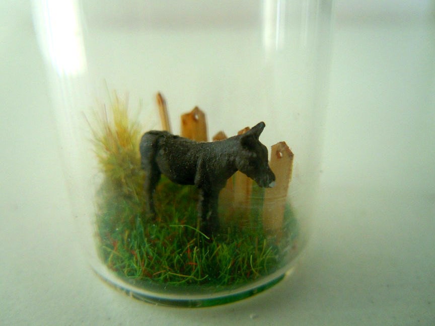 Farm sample