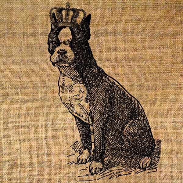BOSTON TERRIER DOG Crown Digital Collage Sheet Download Puppy Pet Dogs Burlap Fabric Transfer Iron On Pillows Totes Tea Towels No. 4411