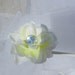 White Rose Rhinetsone mini Claw Clips