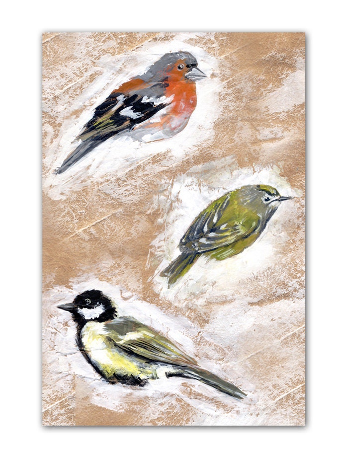 British Garden Birds Postcard Art Print 6x4"