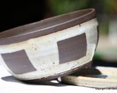 Ceramic Cactus Pot Or Planter - Earthenware Pottery - Indoor Planter