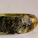 small lichen and moss multifaceted eco resin bangle