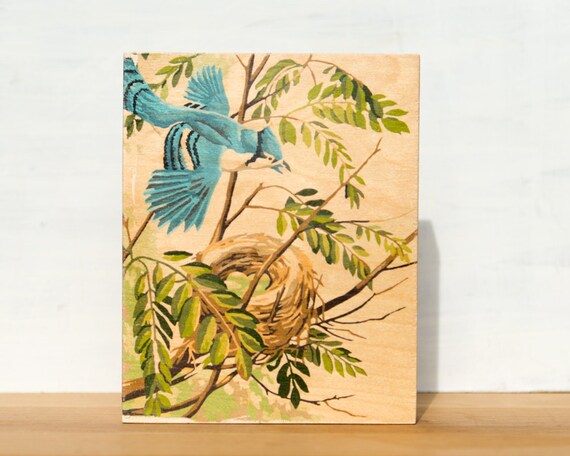 Bluejay Paint by Number Large Artblock -  8" x 10", vintage, trees, nest, bird
