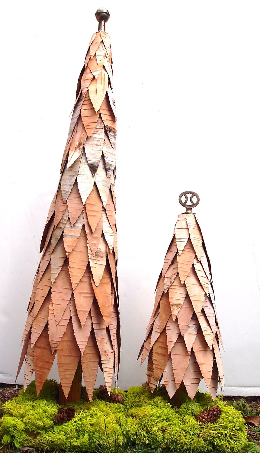Large Birch Bark Tree