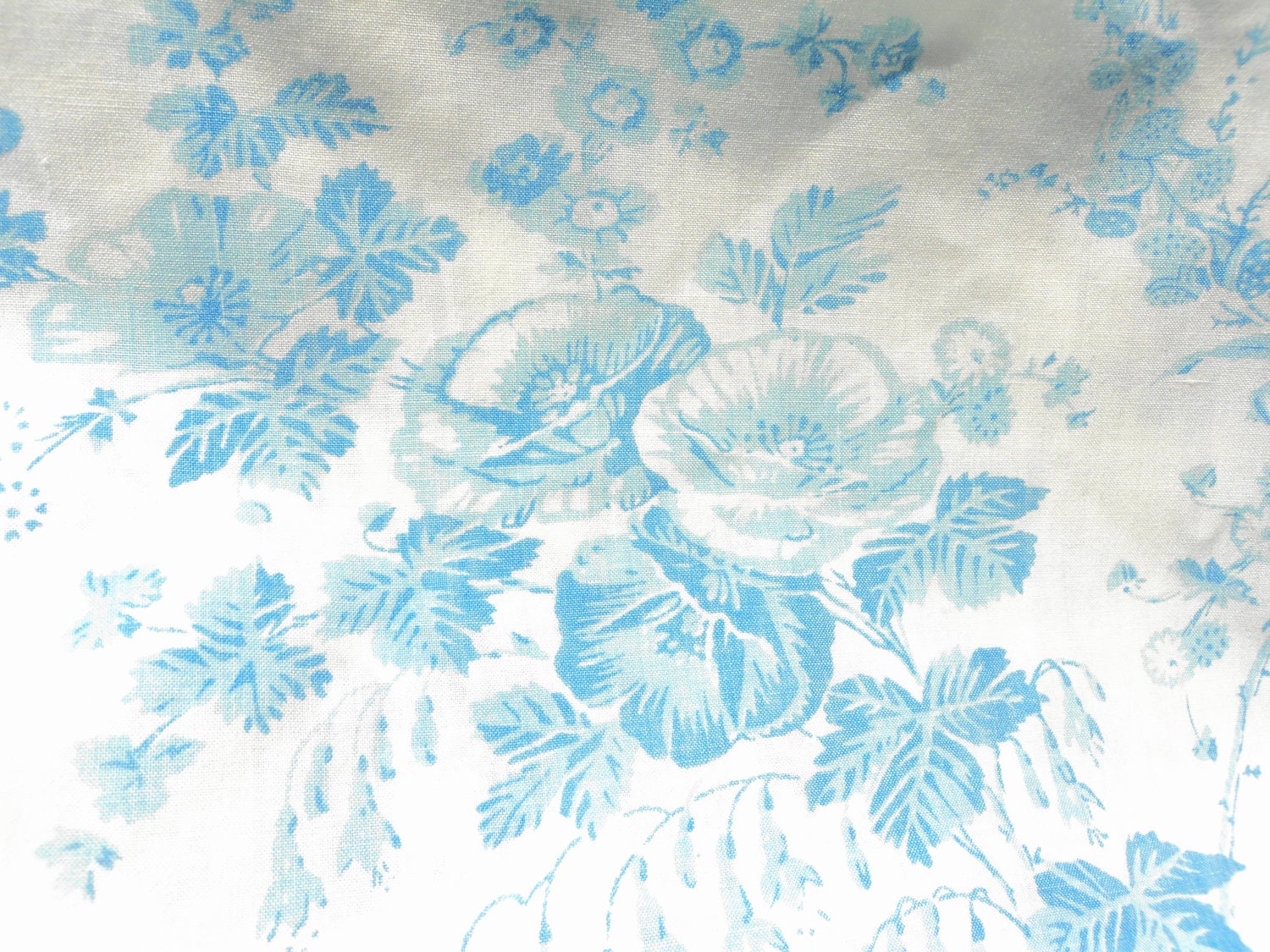blue and white floral  sheet  flat percale