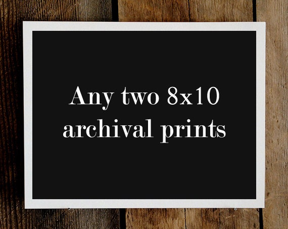 Any 2 8x10 Prints : Eco Home, Nursery Woodland Animal Theme Photography - Nature Bee Wall Decor, Lodge Antler Archival Art
