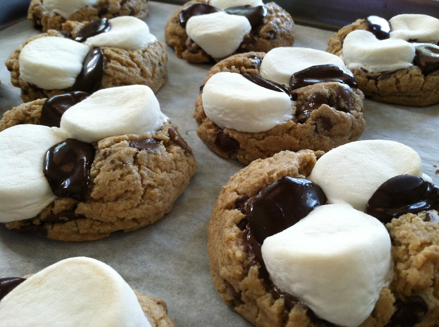 FREE ship: Lil' SCOUT S'mores Cookies
