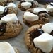 FREE ship: Lil' SCOUT S'mores Cookies