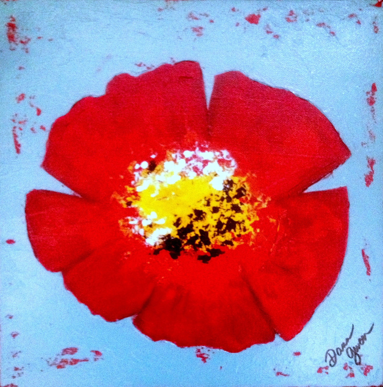 Poppy on Turquoise