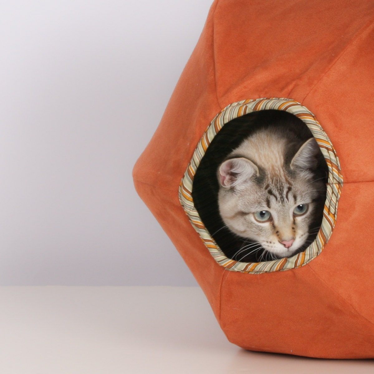 Cat Ball for the Curious Feline