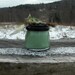 Lime Leaf & Lily Scented Handpoured 4oz Pure Soy Candle Jar with Black Metal Lid--Up On The Roof Farm Vermont