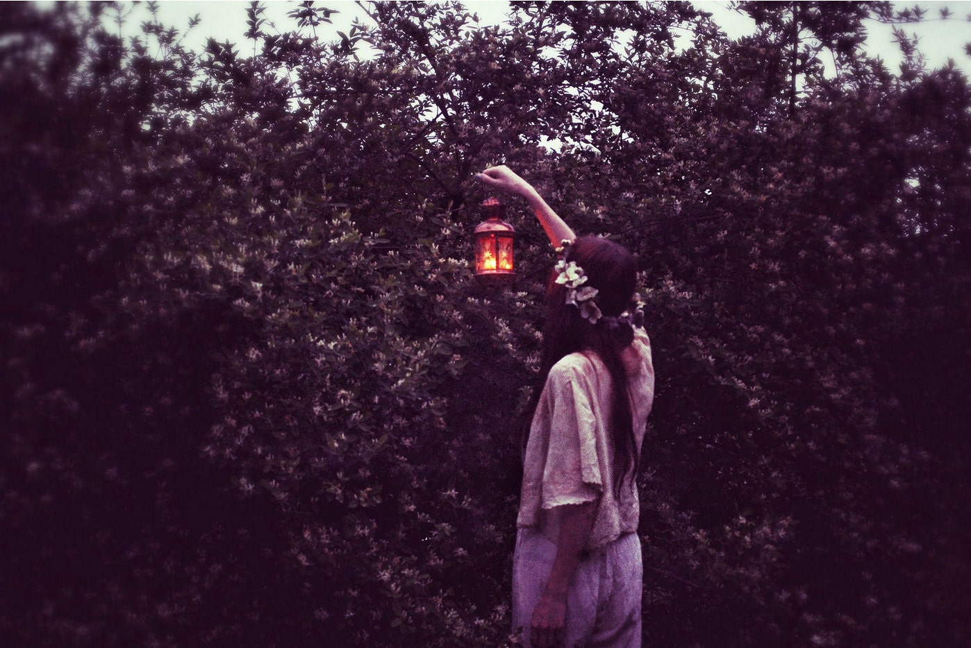 8x10 The Hermit