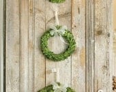 Traditional Boxwood Wreath with Custom Ribbon Choice and Sizing