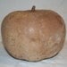 Large Uncleaned Apple Gourd