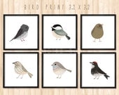 6 Birds square print set - SMALL print