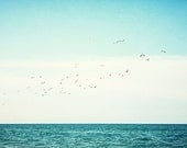 Beach Photography, Ocean Art, Sea Landscape Photo, Seagulls, Teal, Aqua, Turquoise, Water and sky, Seascape Print.