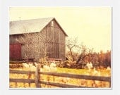 Farm Picture Barn Picture Autumn Landscape Old Barn - Rustic Fall Gold Yellow Brown Sepia - Country Home Decor Farm Art Barn Art.