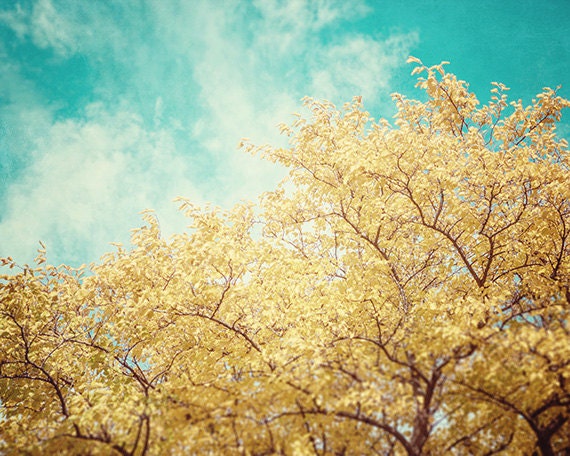 Nature Photography Autumn Landscape Photograph Yellow Tree Picture Teal Sky - Golden Aqua Fall Photograph - Dreamy Nature Wall Art.