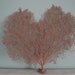 Natural Sea Fan 10.2" x 9.2" Red Seashells Reef Coral