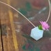 A Miniature Wearable Planter, Icosahedron