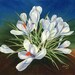 White Crocus, 14"x10" Fine Art Print from original watercolor