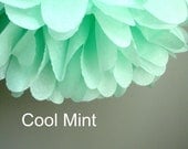 1 Large Cool Mint Tissue Paper Pom Pom
