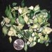 Vitnage New Old Stock Supplies Crafting Resin Plastic Green Shards Cheap