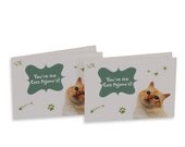 Cat's pajama's greeting card