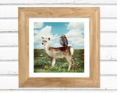 Kings and Queens - Luster Photo Print 5x5 / Deer Fawn Owl Photo Art Manipulation
