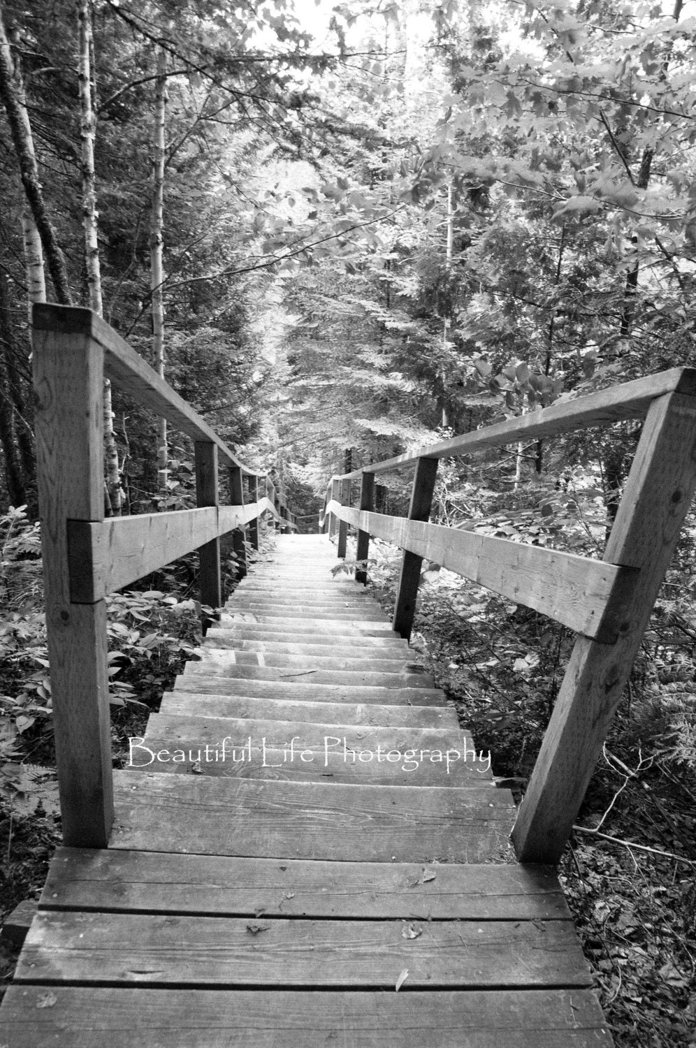 The Stairs