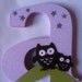 Owl themed Wooden letters