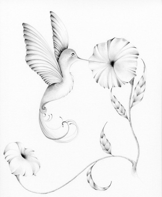 Hummingbird Custom Artwork Illustration Pencil Drawing Personalized Custom Pencil Drawing