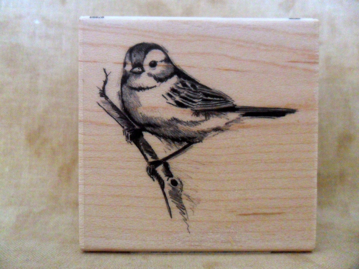 Bird on a Branch Rubber Stamp by Inkadinkado-FREE SHIPPING
