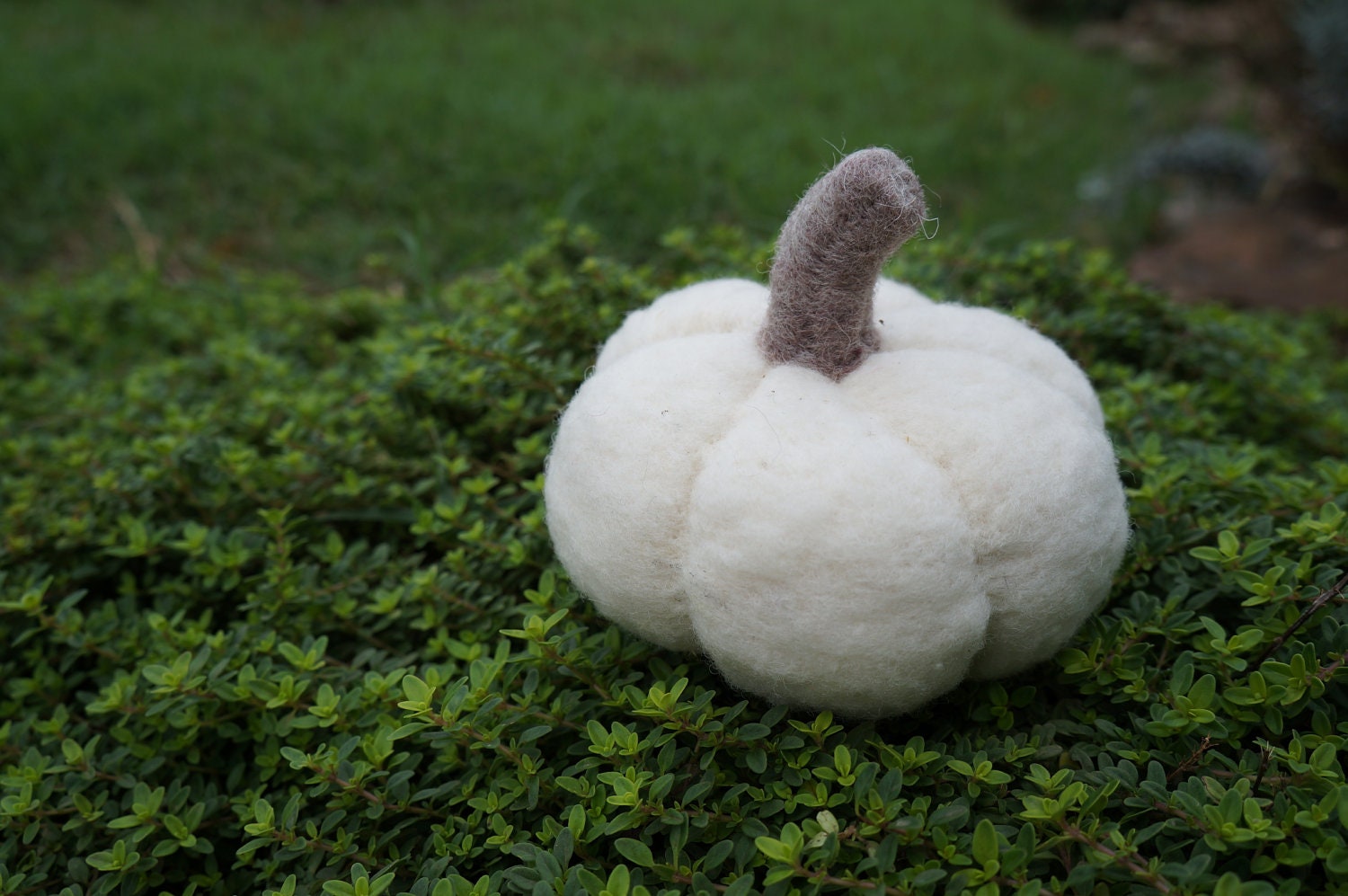 Wool Pumpkin Needle Felted Sculpture - White - MADE TO ORDER