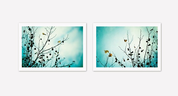 Mint Print Set - turquoise teal nature photography branch branches - blue green light black - modern photography - Two 8x12 Photographs