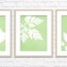 Leaf Set Art Print / Choose from Six Species / 8x10 / Wall Art Poster