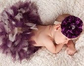 Plum  Princess