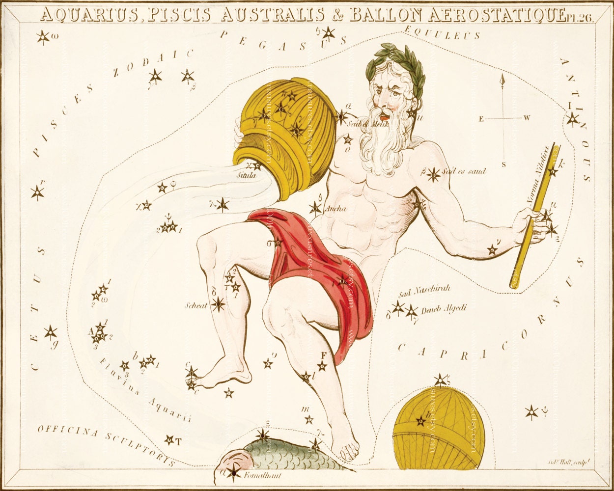 Antique Astrology Art Print - 8 x 10 - Aquarius