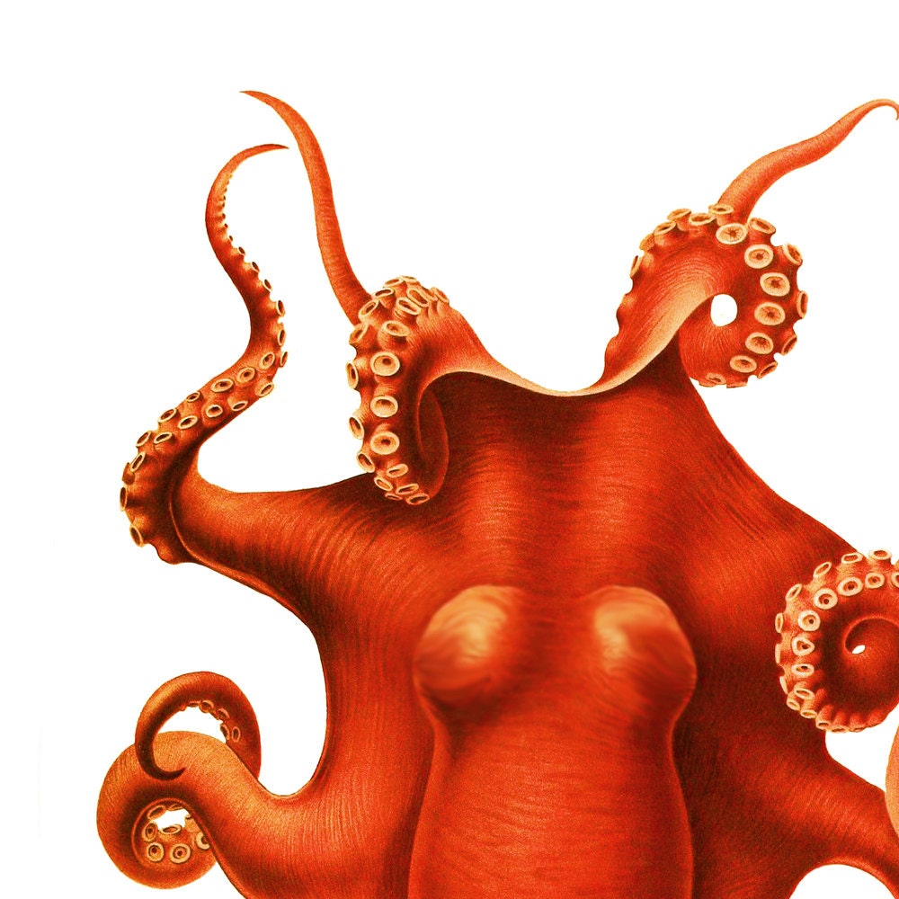 The Octopus Nautical Orange Red Vintage Style Art Print